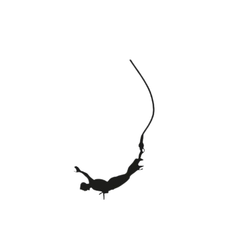bungy jumping logo