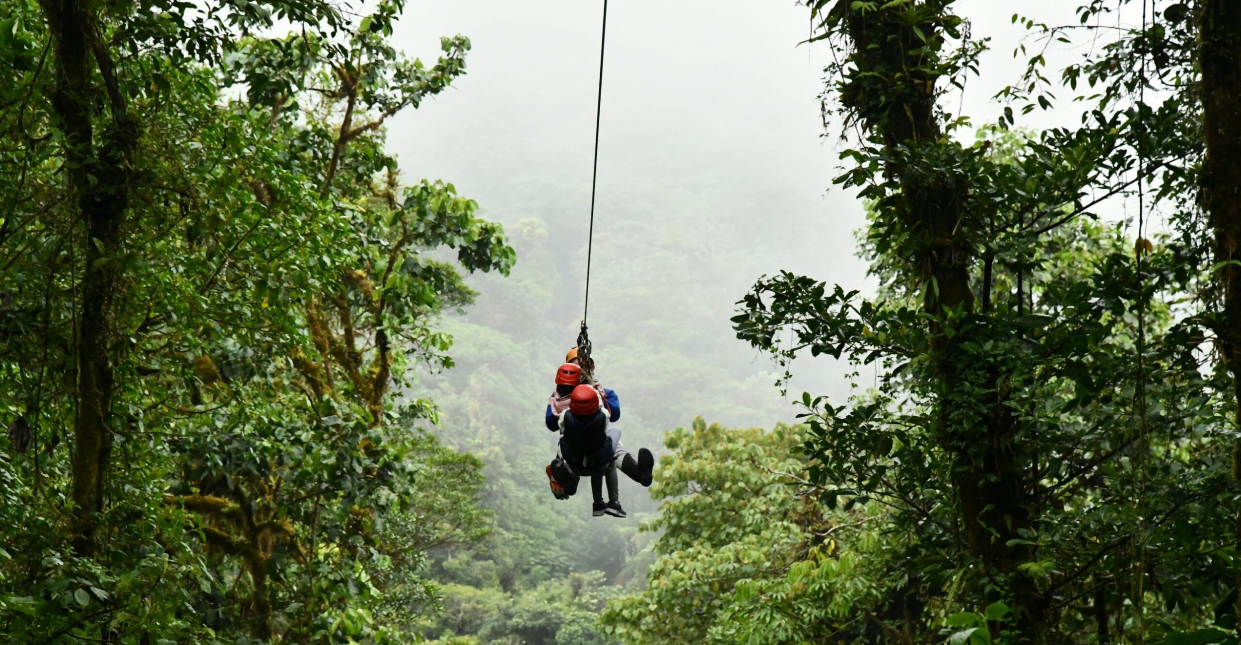 zip line image